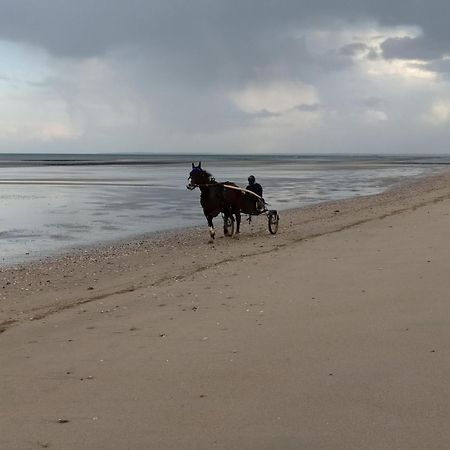 Gites En Normandie En Front De Mer A Asnelles , 3Km D'Arromanches, 10Km De Bayeux Kültér fotó